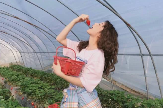 金牛座2023年12月感情运势