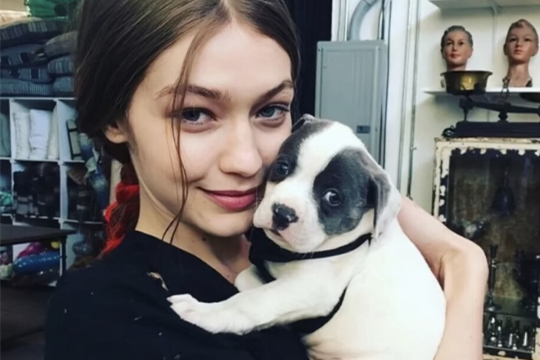 3月9日是什么星座的